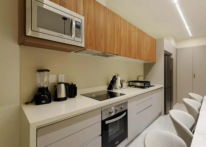 Apartment Allan Poe 227 By Wynwood House Mexico City